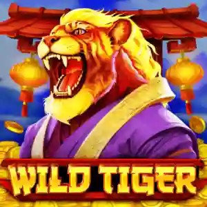Wild Tiger game by BGAMING – logo hosted on Fenikss Casino